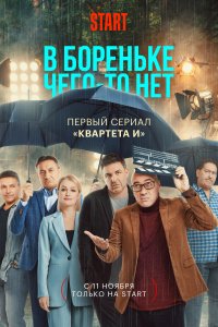 В Бореньке чего-то нет (1 сезон)